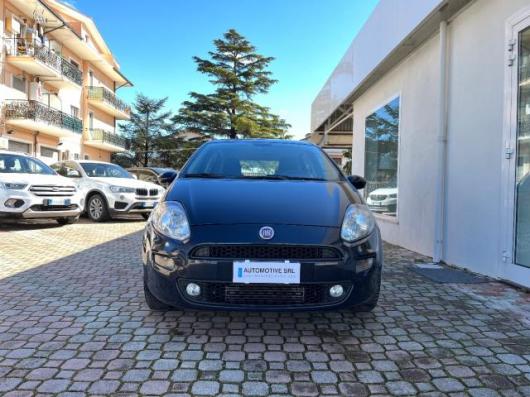 usato FIAT Punto