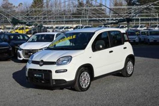 usato FIAT Panda