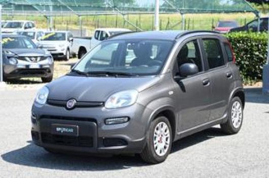 usato FIAT Panda