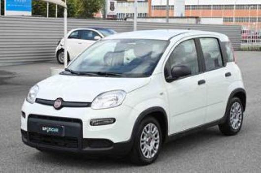 usato FIAT Panda