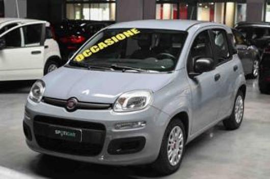 usato FIAT Panda