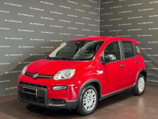 usato FIAT Panda