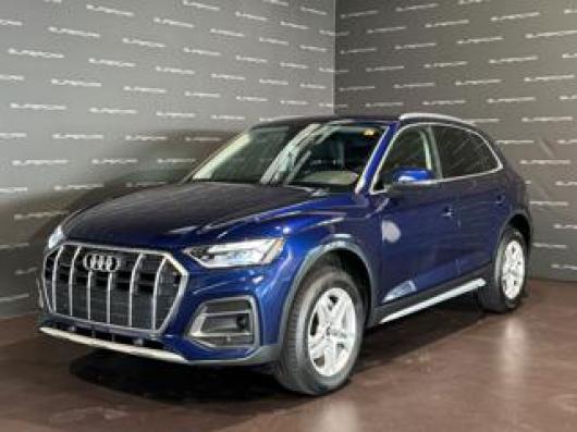 usato AUDI Q5