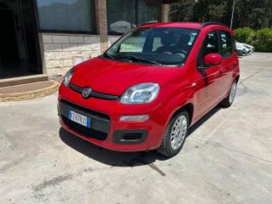 usato FIAT Panda