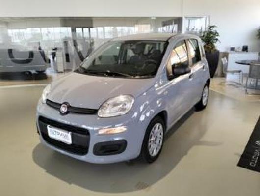 usato FIAT Panda