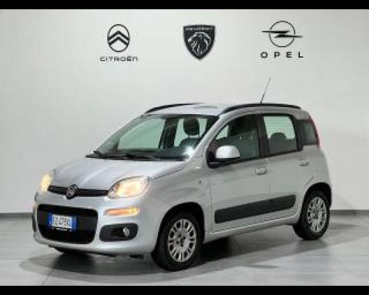 usato FIAT Panda