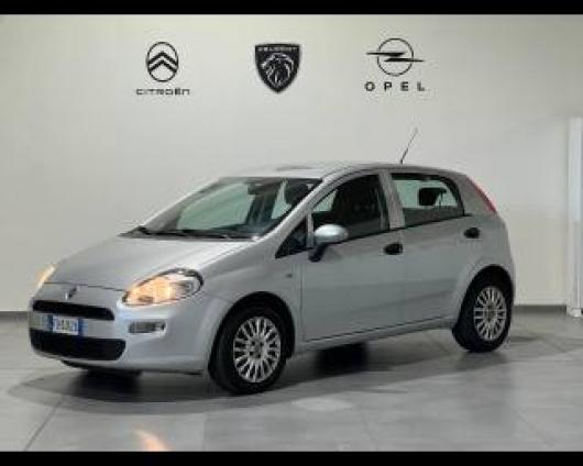 usato FIAT Punto