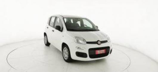 usato FIAT Panda