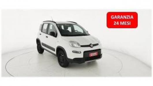 usato FIAT Panda