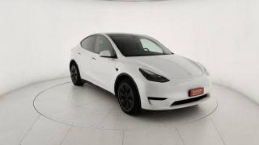 usato TESLA Model Y