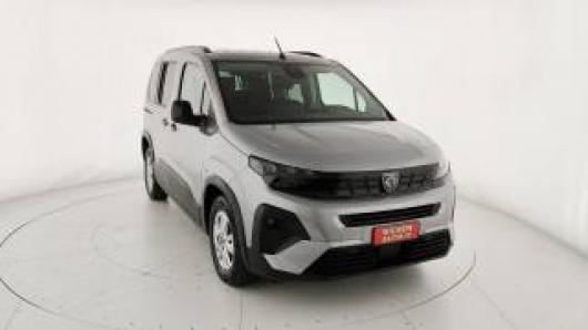 usato PEUGEOT Rifter