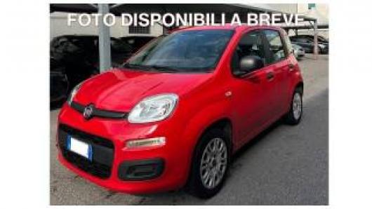 usato FIAT Panda