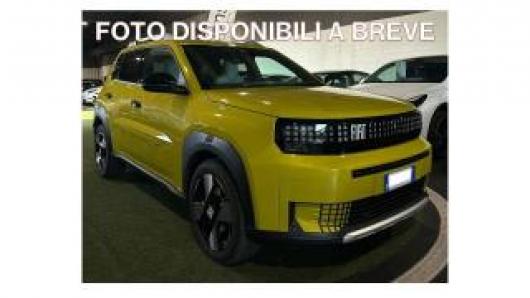 Grande Panda