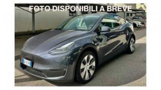 usato TESLA Model Y