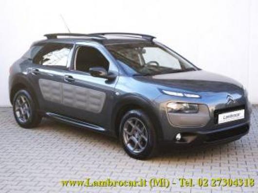 C4 Cactus