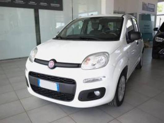 usato FIAT Panda