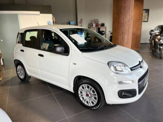 usato FIAT Panda