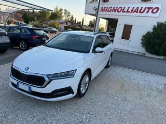 usato SKODA Octavia