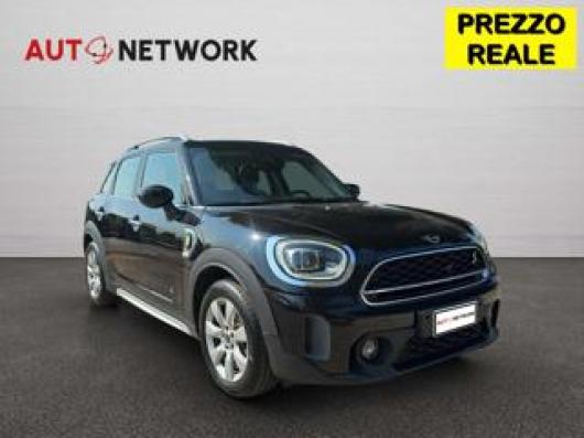 usato MINI Countryman