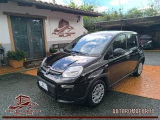 usato FIAT Panda