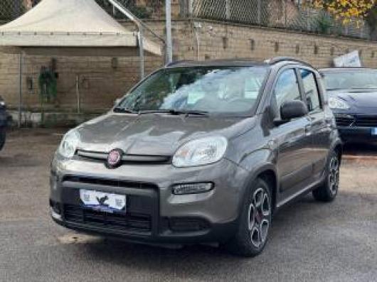 usato FIAT Panda