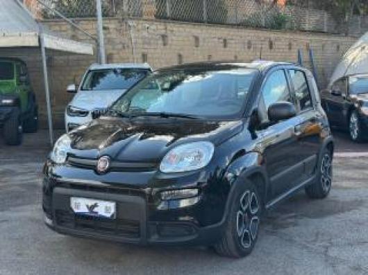 usato FIAT Panda