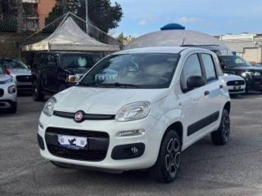 usato FIAT Panda