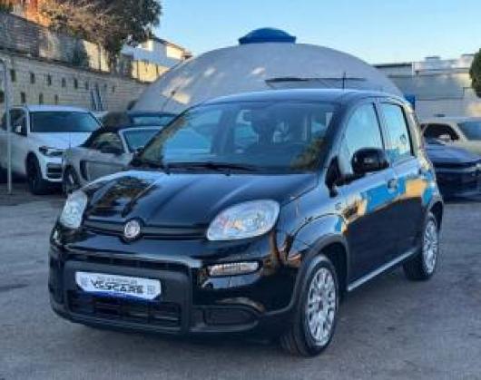 Panda