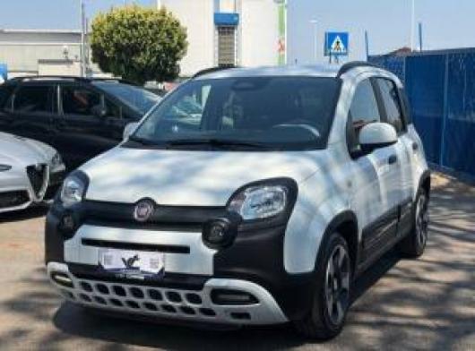 usato FIAT Panda