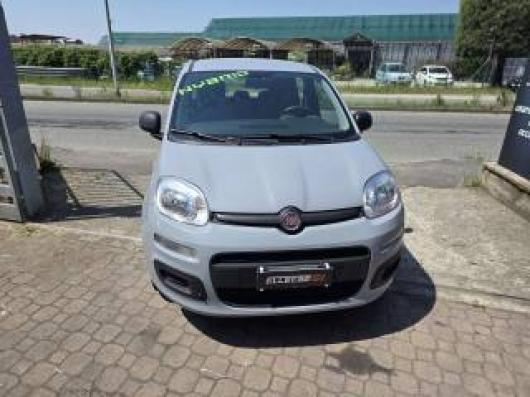 New Panda
