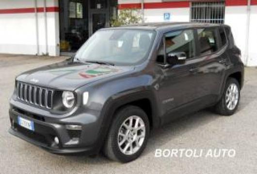 usato JEEP Renegade