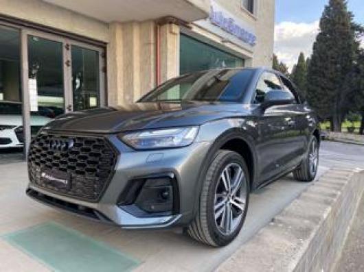 usato AUDI Q5