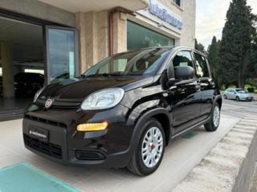 usato FIAT Panda