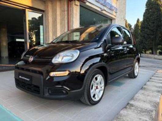 usato FIAT Panda