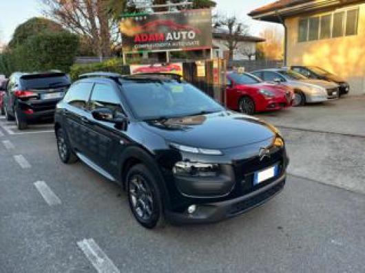C4 Cactus