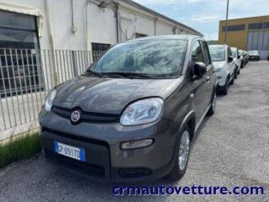usato FIAT Panda