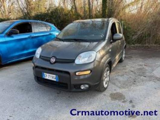 usato FIAT Panda