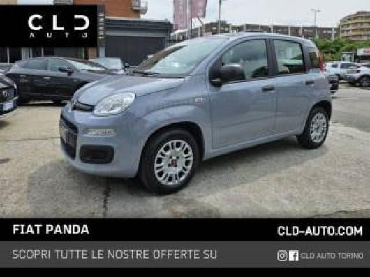 usato FIAT Panda