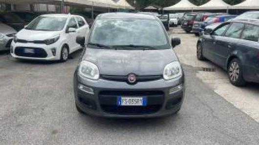 usato FIAT Panda