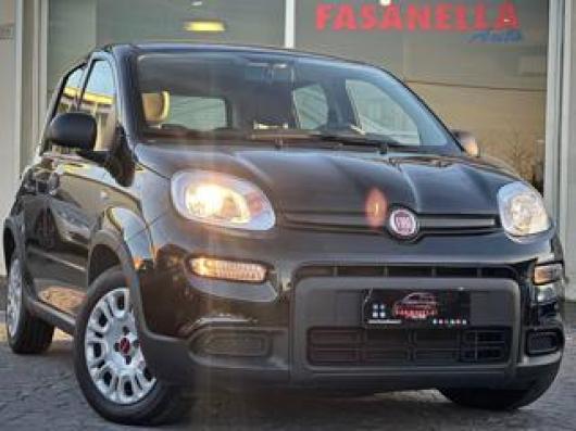 usato FIAT Panda