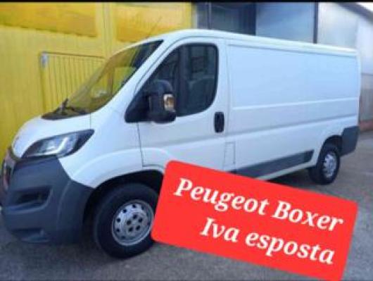 Boxer