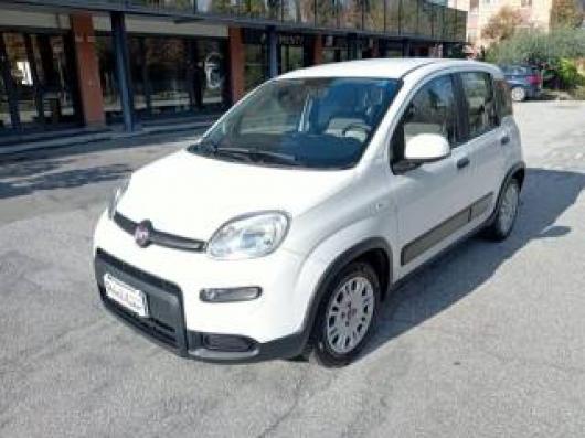usato FIAT Panda