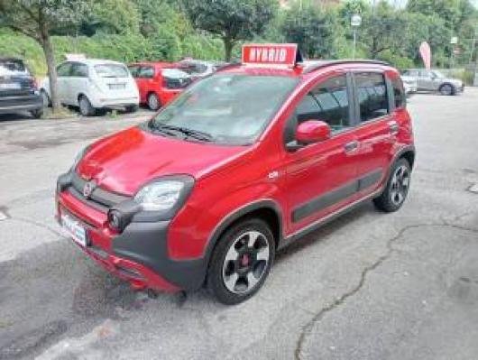 Panda Cross