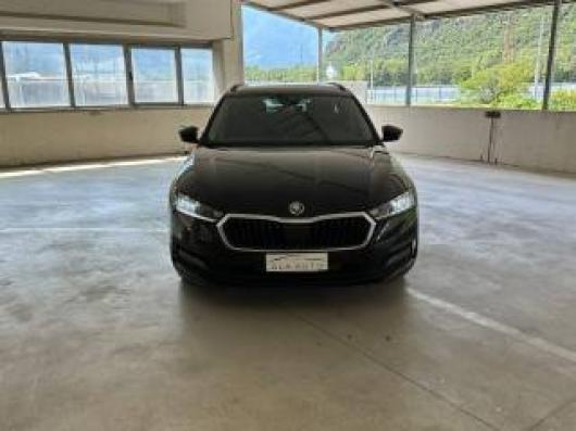 usato SKODA Octavia