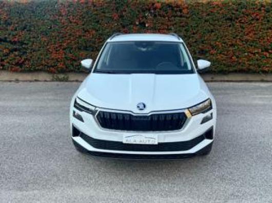 usato SKODA Karoq