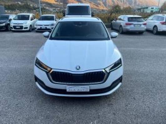 usato SKODA Octavia