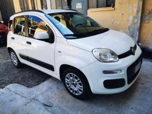 usato FIAT Panda