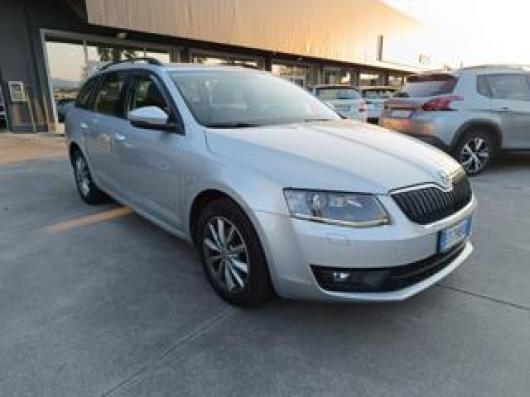 usato SKODA Octavia