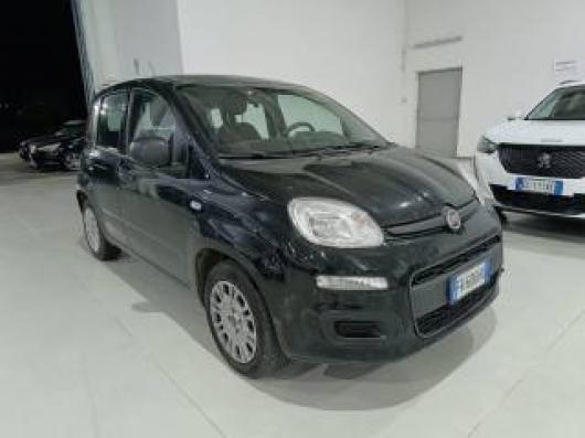 usato FIAT Panda