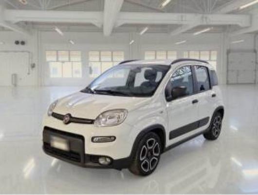usato FIAT Panda